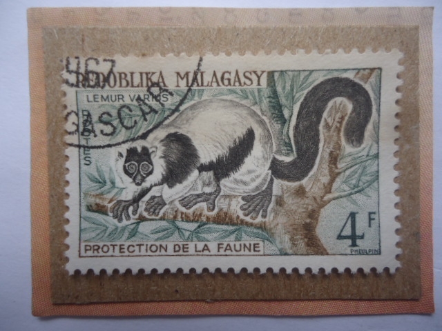 Repúblika Malagasy-Lémures Ruffed en Blanco y Negro-Protection de la Faune- Sello de 4Fr. FCFA,