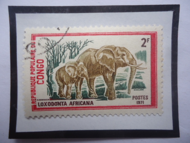 Congo,República (Brazzaville)-Elefante Africano (Loxodonta africana)-Serie:Animales Salvajes.