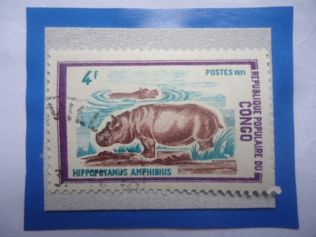 Congo, República (Brazzaville)-Hipopotamo (Hippopotamus amphhibius)-Serie:Animales Salvajes 1972- Se