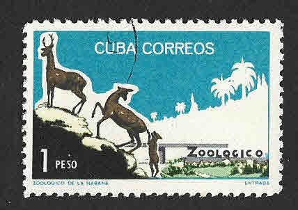 907 - Zoo de la Habana