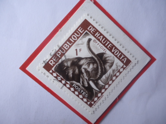 Alto Volta-Elefante Africano (Loxodonta africana)--Sello de 1 Franco África Occidental, año 1963