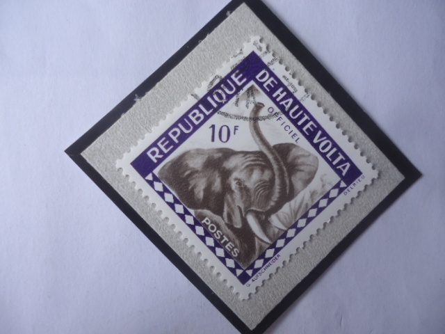 Alto Volta-Elefante Africano (Loxodonta africana)--Sello de 10 franco äfrica Occidental, año 1963