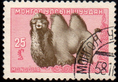 Animales: Dromedario-1958