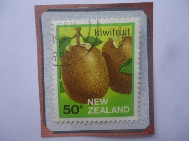 Kiwifruit - Kiwi Fruta.
