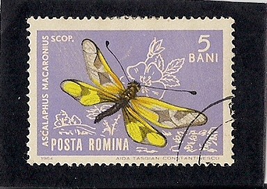 Mariposa