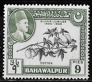 Bahawalpur-cambio