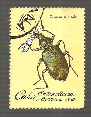 INTERCAMBIO
