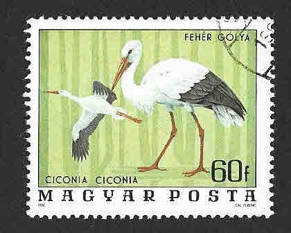 2458 - Aves del Parque Nacional Hortobagy