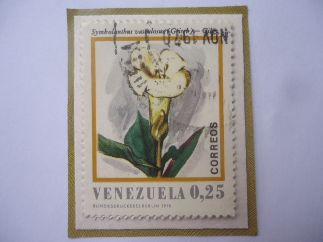 Symbolanthus vasculosus (Griseb)-Gilg . Flores de Venezuela.
