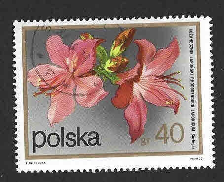 1935 - Arbustos de Flores