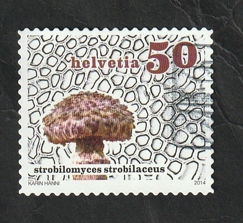 2267 - Champiñón, Strobilomyces strobilaceus