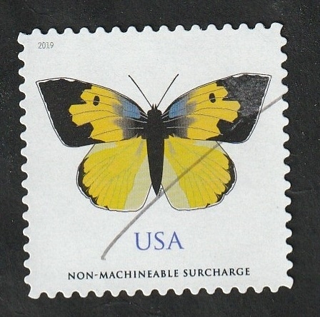 5184 - Mariposa