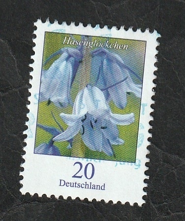 3100 - Flor