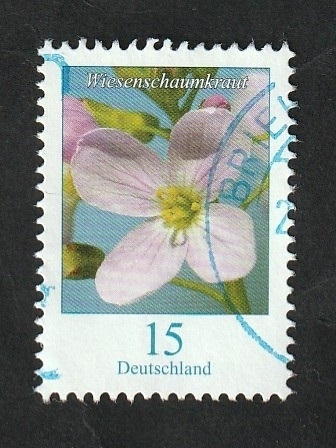 3202 - Flor, Limnanthes alba