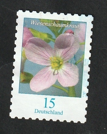 3203 - Flor, Limnanthes alba