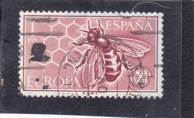 abeja- Cept (45)