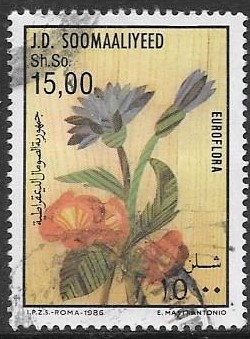 flores