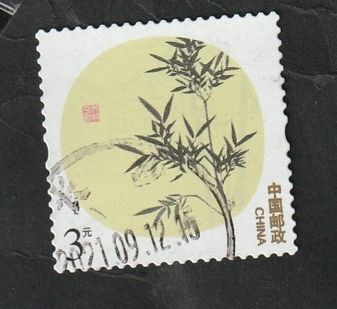 5063 - Planta