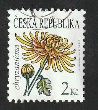 606 - Flor crisantemo