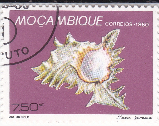 CARACOLA