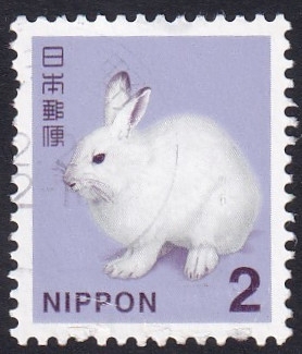 Lepus timidus