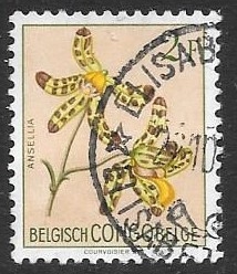 Congo Belga