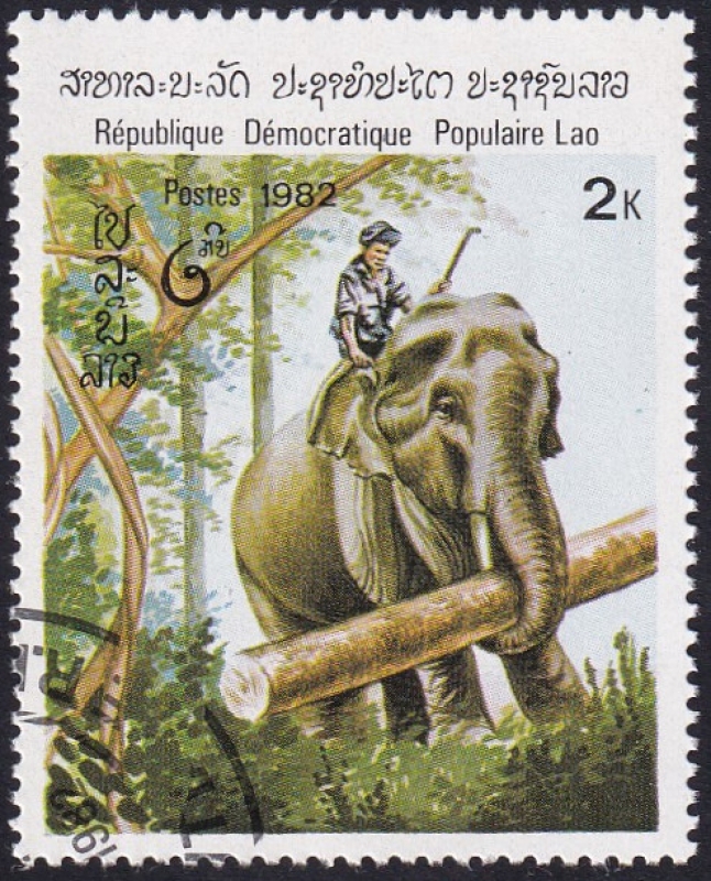 Elefante trabajando