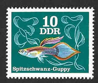 1769 - Pez Guppy (DDR)