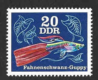 1771 - Pez Guppy (DDR)