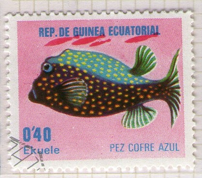 70  Pez cofre azul