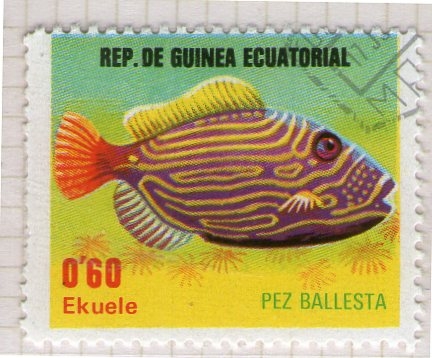 74  Pez ballesta