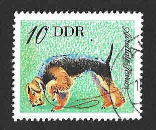 1750 - Airedale terrier (DDR)