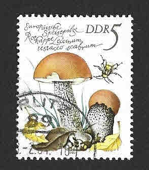2137 - Setas Comestibles (DDR)