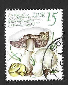 2139 - Setas Comestibles (DDR)