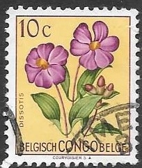 Congo belga