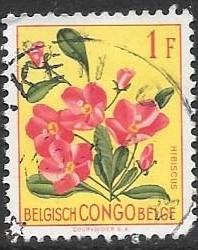 Congo belga