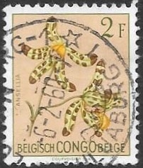 Congo belga