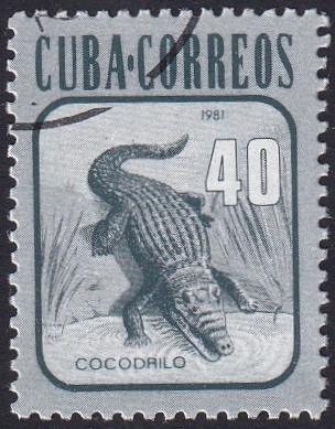 Cocodrilo