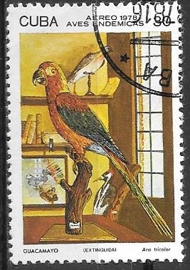 aves