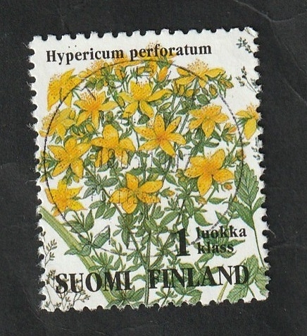 1222 - Flor, Hypericum perforatum