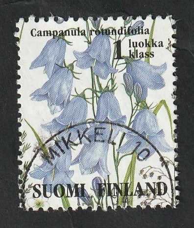 1224 - Flor, Campanula rotundifolia