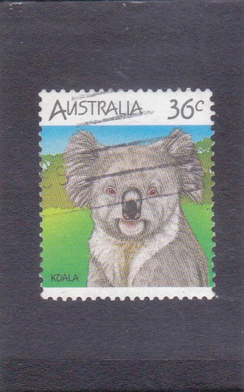 KOALA