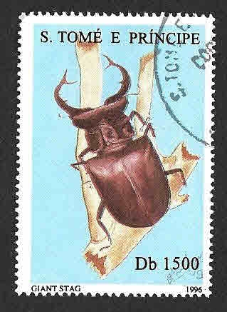 1287d - Escarabajo Ciervo Gigante