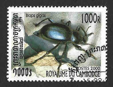 1934 - Escarabajo de las Bodegas
