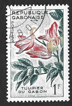 155 - Árbol de Tulipán