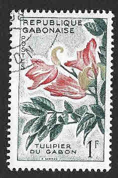 155 - Árbol de Tulipán