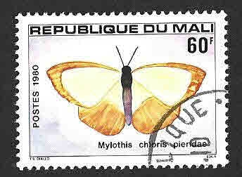 392 - Mylothris Chloris