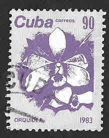 2662 - Orquídea