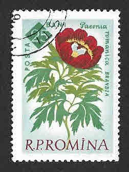 1461 - Paeonia