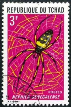 Araña